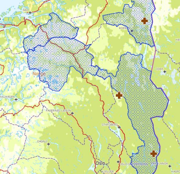 Side 8 av 13 Uttak Det ble ikke tatt ut noen bjørner i Oppland i 2015. Felte bjørner i Sør-Norge siden 01.01.2015. Tre bjørner er felt på skadefelling i Hedmark i 2016 (innringet), 2 stk på nær same sted i Stor-Elvdal.