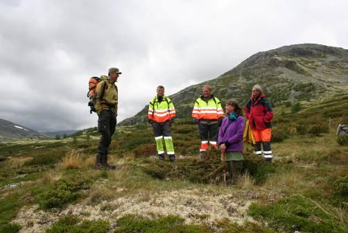 Det eldre åkerlaget ses som en mørk stripe (et ca. 5 cm tykt lag med kullbiter) mellom lag med lys sand (utvaskningslag). Foto: KHM.