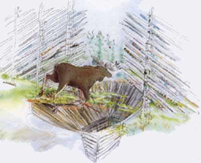 Armoen massetak, Armoen gbnr 99/1, 99/2 og 99/66 Fangstanlegg for elg Fangstgroper er en jaktmetode brukt gjennom flere tusen år.
