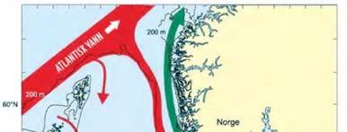 Forvaltningsplanen for området (Stortingsmelding 37 (2012-2013) Helhetlig forvaltning av det marine miljø i Nordsjøen og Skagerrak), med tilhørende grunnlagsrapporter, gir en fyldigere beskrivelse.