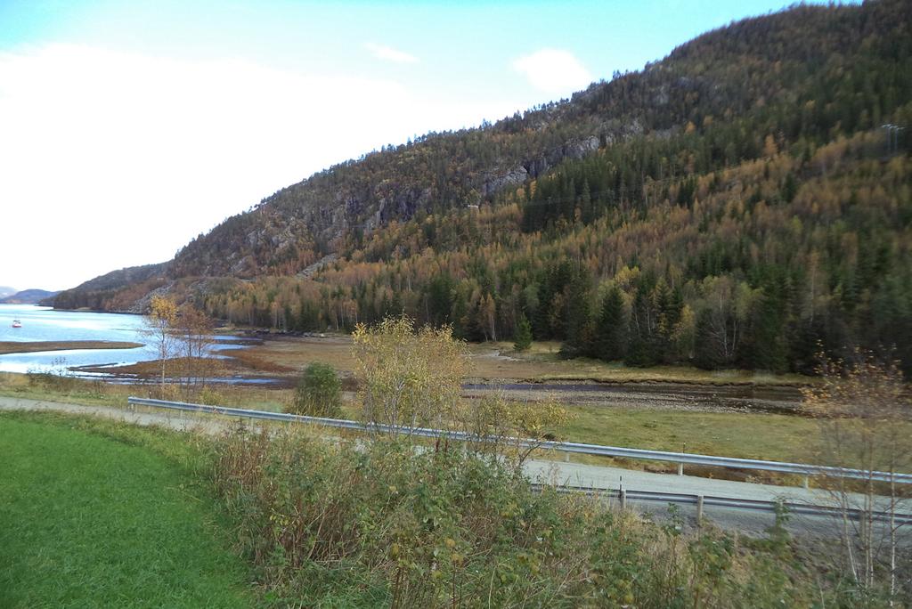 Region midt Ressursavdelingen Berg- og geoteknikkseksjonen 2016-12-05 Geoteknikk Fv.