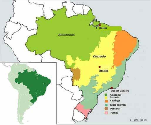 Figur 4 Kart over biomer i Brasil Kilde: Riksrevisjonen/ResearchGate Den britiske ambassaden i Brasil peker i intervju på at oppmerksomheten om Amazonas har gått på bekostning av Cerrado.