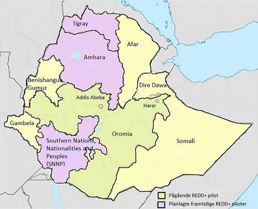 Figur 5 Kart over Etiopia med pilotregionen for REDD+ Kilde: Riksrevisjonen/Wikipedia Ifølge intervju med Verdensbanken i Etiopia vil det bli krevende å utvide REDD+ til nasjonalt nivå.