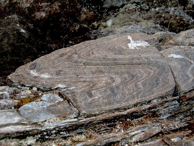 19 FOLDING dei fine krøllane i bergveggen her blir kalla folding.