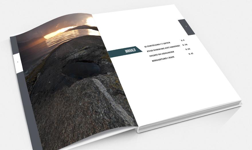 SLUTTRAPPORT FOR HAFS-PROSJEKTET/ PRODUKT BOK, DATABASER 26 BOK Det er utarbeida eit råmanus for ein bok (digital og/eller trykt) om geologien i HAFS-regionen.