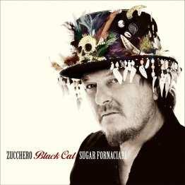 Zucchero: Black cat Segn.