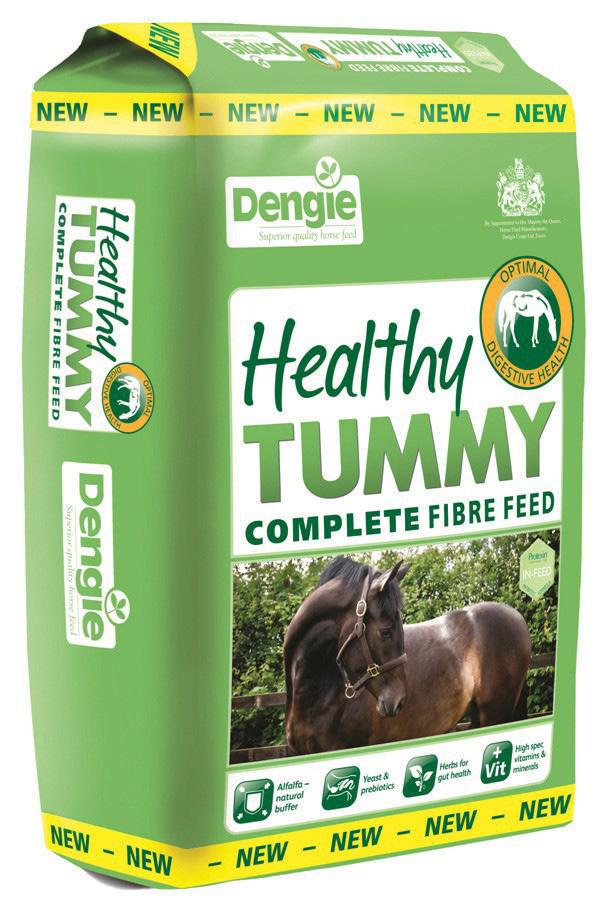 DENGIE HEALTHY TUMMY Dengie Healthy Tummy er et balansert fiberfôr, spesielt utviklet for å støtte en sunn fordøyelse fra mage til stortarm hos hesten.