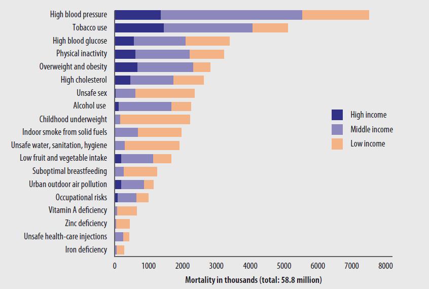 Mortality due to leading risk factors