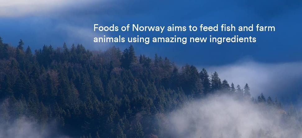 Foods of Norway aims to feed fish and farm animals using sustainable