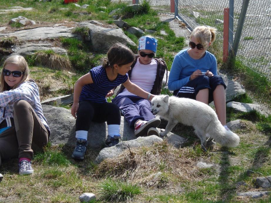 Langedrag Leirskole Et møtested mellom barn og dyr Langedrag er bygget opp med en sterk visjon om å være et sted der barn kan få oppleve gleden av nærhet til dyr og natur.