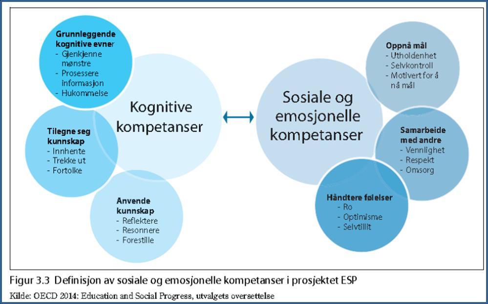 Stortingsmelding 28 beskriver ulike dimensjoner i sosial og emosjonell kompetanse.