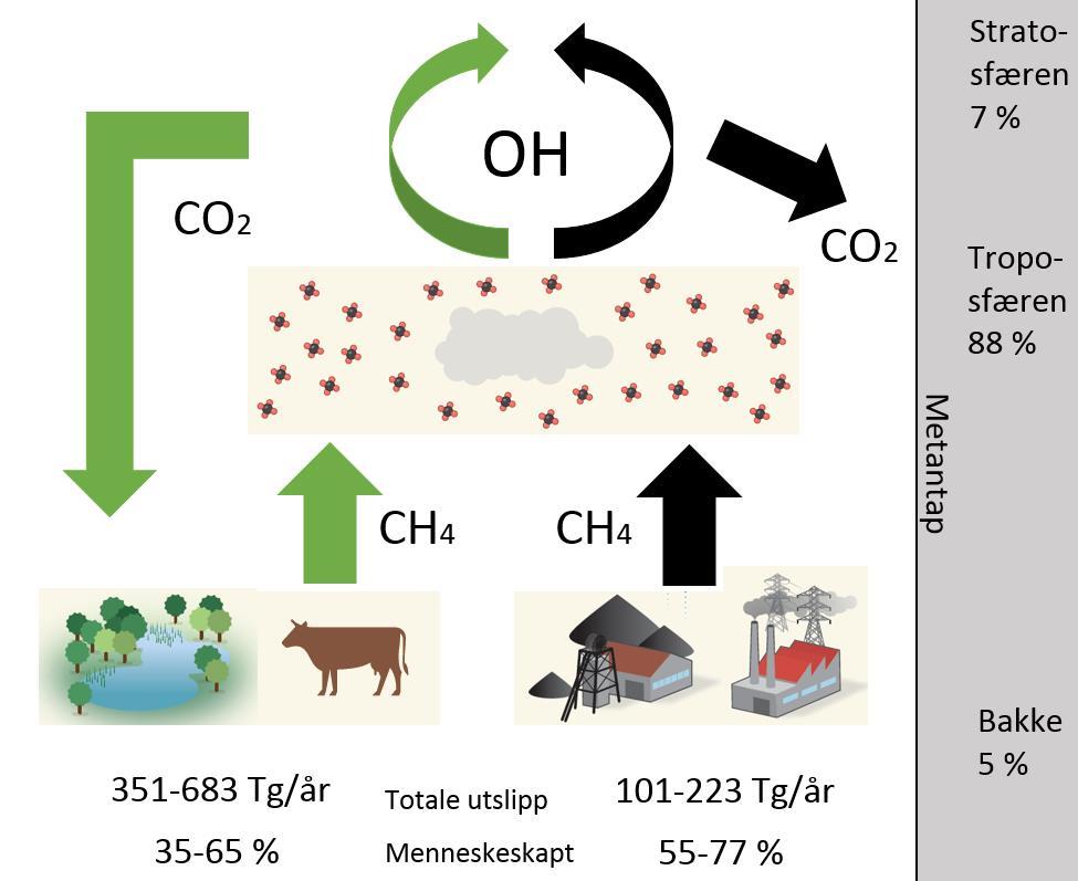 GWP(100) fra 28 til 30 (Myhre et al., 2013). Denne ekstra effekten inkluderes stort sett bare for metanutslipp fra fossile kilder siden det er vanlig å bokføre biologisk CO 2 som karbonnøytralt.