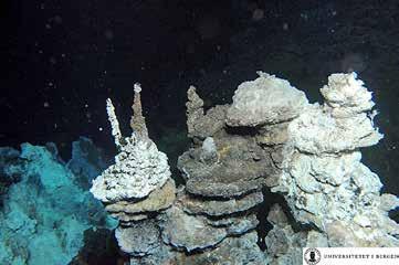 Skorpene vokser som laminerte belegg på fast fjell der dette stikker opp på havbunnen, typisk på dyp mellom 8 og 25 meter.
