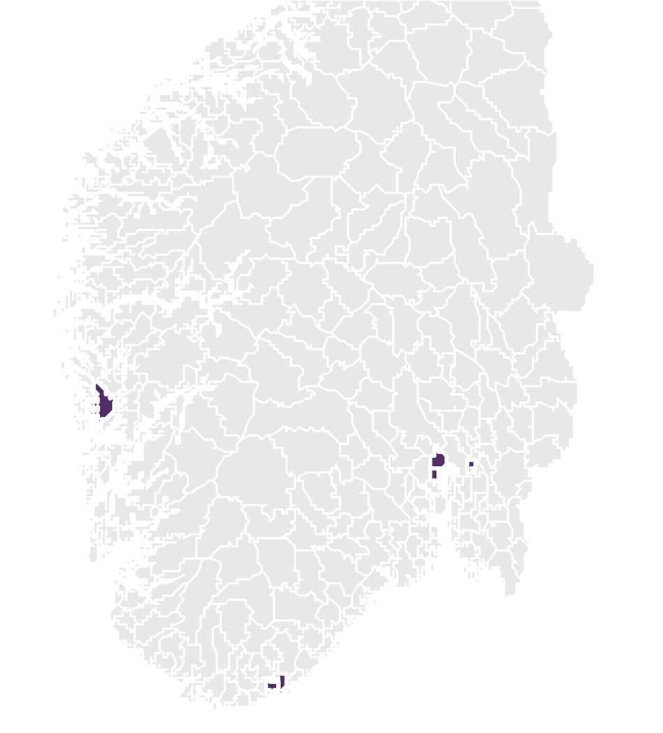 Elbil toppen (blant de store) Elbilandel pr. juni 2017 (kommuner over 30.000 innbyggere) Bergen 9,6 % Bærum 9,5 % Asker 11,1 % Lørenskog 7,2 % 1.