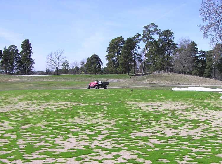 Handbook turf grass winter survival VINTERYKDOMMER PÅ GRE Biotiske vinterskader Foto: Agnar Kvalbein ammendrag Det er flere sopparter som trives og skader gress ved lave temperaturer.