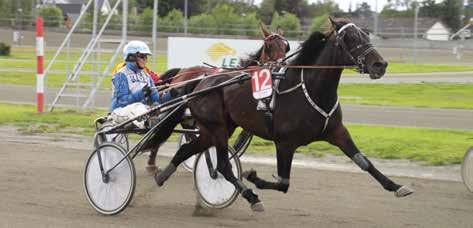 Laddie Blue Chip (US) Torkil Steinshaug-Ely Rishaug Iversen Nina Stene (A) - Torkil Steinshaug (A) Burgunder m/hvite harl ruter, reklame T. Steinshaug L //,a T. Steinshaug L //,a T. Steinshaug L //,a T. Steinshaug L //,a E.