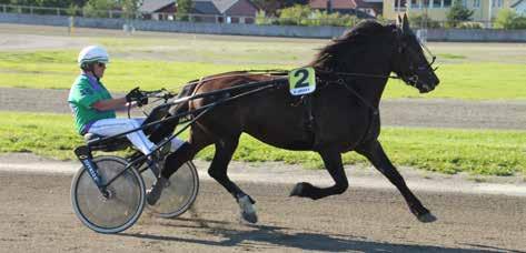 Blekkan L //,a : - -.a -. : -.a -. Balder Halbak,m,ak. år Rød V v. Password (FR) e. Jasmine af Solnäs (S) v. Biesolo (FR) Team Balder Tor Arne Eggen (B) Beige m/svart skstk&sidef,beige/sv erm A.