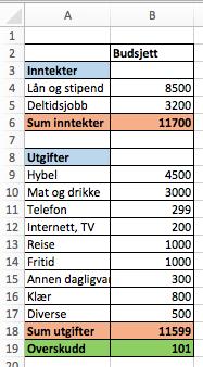 BUDSJETT En