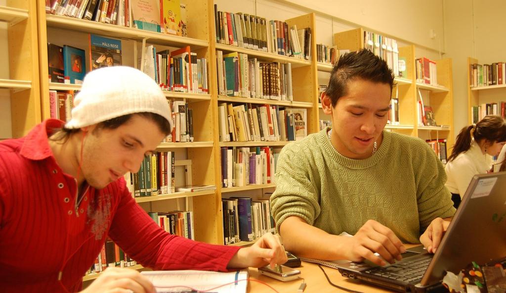 Oppsummert har skolebiblioteket følgende funksjon i videregående skole: Øke motivasjon og nysgjerrighet for læring Legge til rette for økt læringsutbytte Bidra i skolens arbeid til at flere elever