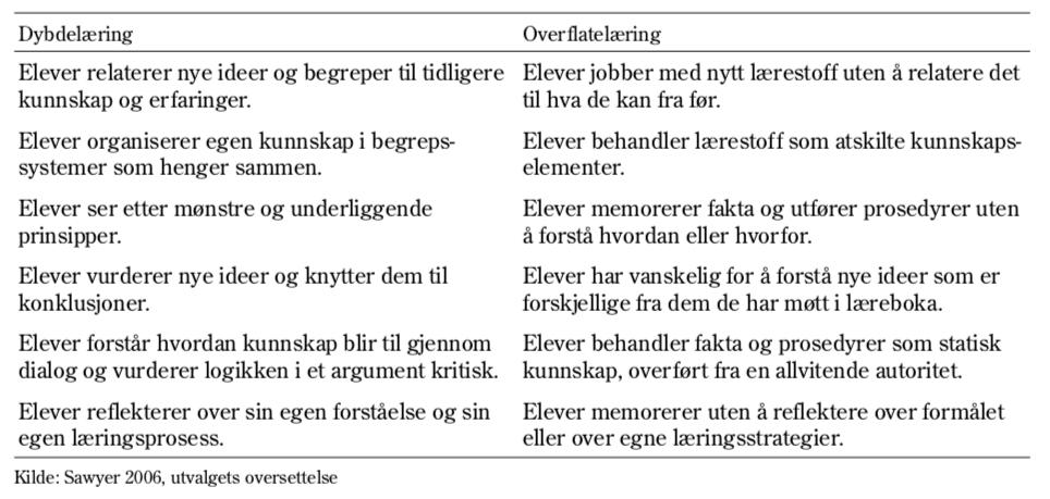 Dybdelæring I 2013 fikk Ludvigsenutvalget i oppdrag å vurdere innholdet i fagene i grunnskolen opp mot krav til kompetanse i et framtidig samfunns- og arbeidsliv 1.