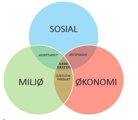 Konklusjon & implikasjon Konsekvensen av ikke tverrfaglig undervisning i denne studien, er at elevene ikke mener at sosiale og økonomiske hensyn er relevante når man vurderer