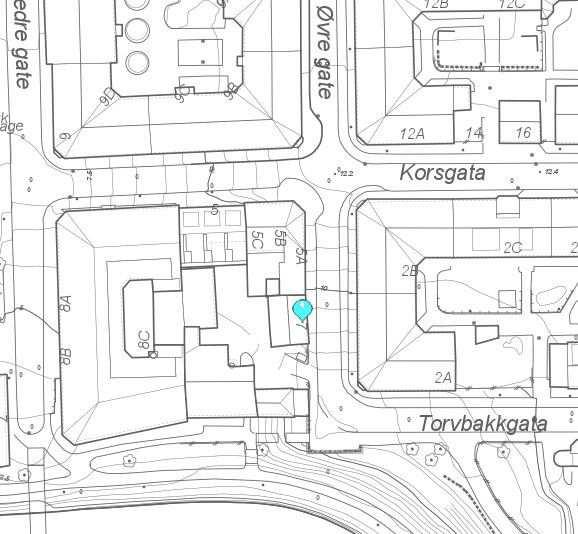 8. Den eksisterende adressen Trondheimsveien 113 erstattes med «Lokaler i Trondheimsveien vis a vis Bülow Hanssens plass.». Også her kan det kanskje være bedre formuleringer.