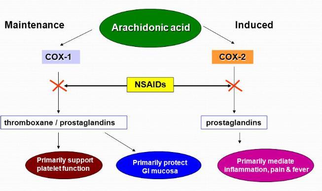 NSAIDS Ibuprofen, naproksen, diklofenak Kan