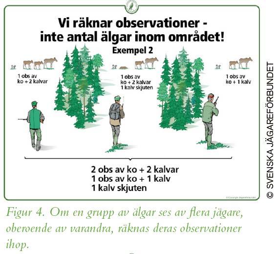 Endring av instruks Må til for å unngå at «sett dyr pr.