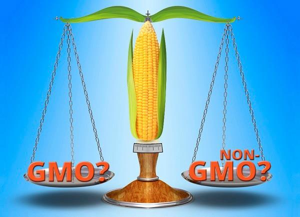 Genredigering har ført til mye debatt om regulering av GMO de siste årene «Svart/hvit»-diskusjon: beholde dagens bestemmelser, eller skal enkelte organismer unntas GMO-lovgivningen?