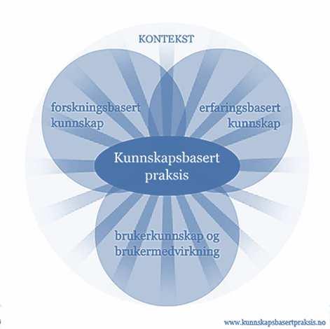 Nærmere om beskyttelses- og risikofaktorer for familiehelse I