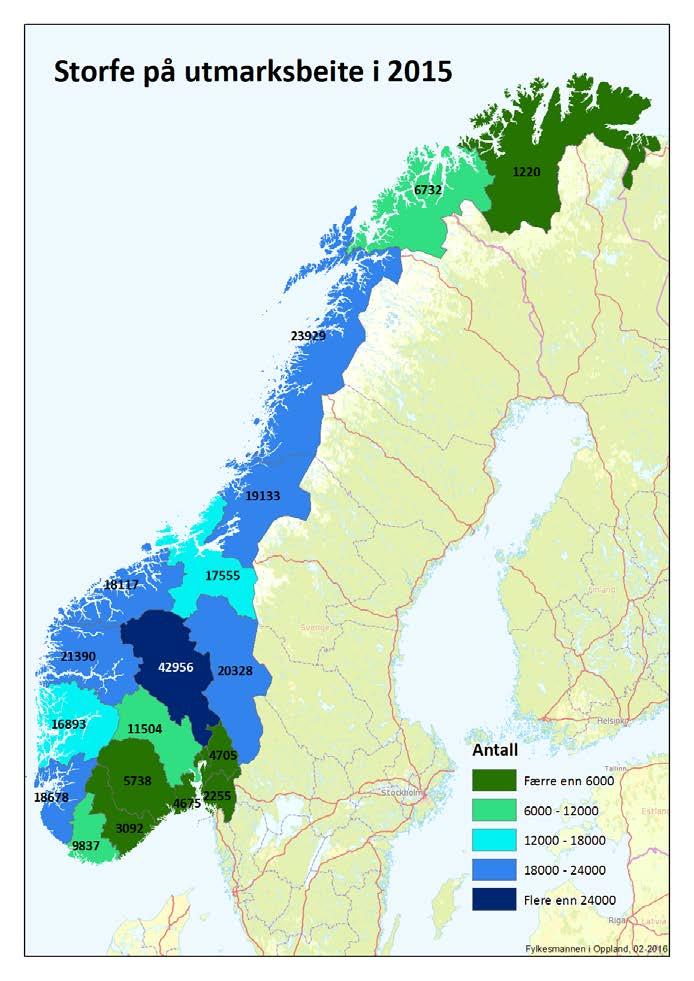 Mjølkekyr/ammekyr og øvrig storfe på utmarksbeite i Norge Tall fra 31.07.
