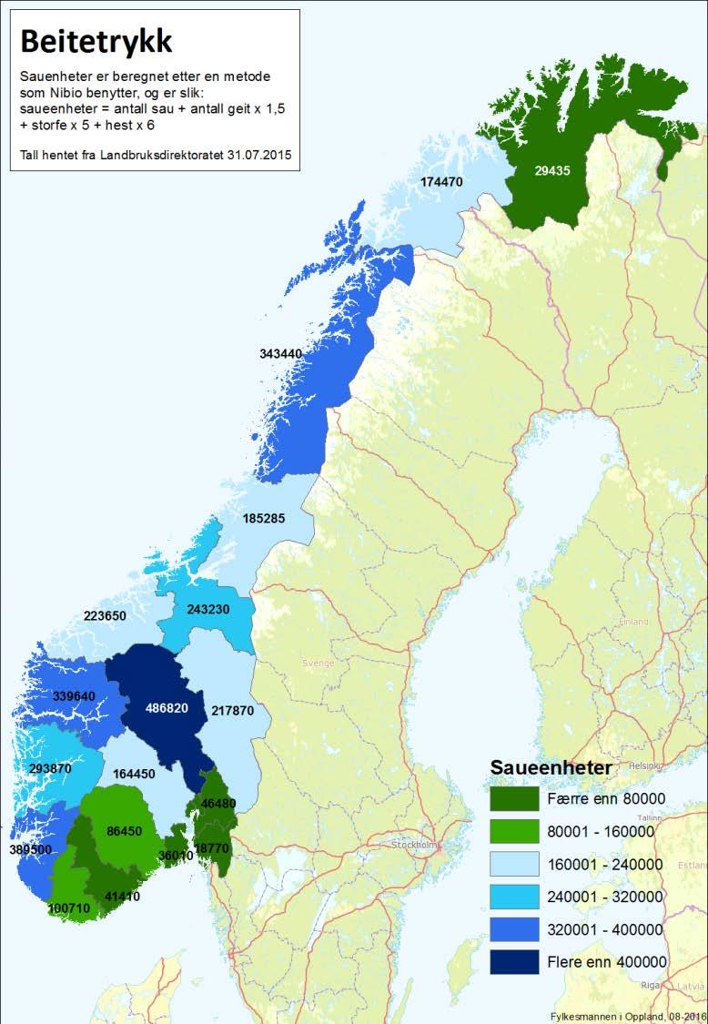 Store beitedyrfylker - omgjort til saueenheter (1 sau = 1 sau,1 storfe = 5 sau, 1 hest = 6 sau, 1 geit =1,5 sau) 1. Oppland: 490 000 saueenheter (14 %) 2. Rogaland: 390 000 saueenheter 3.