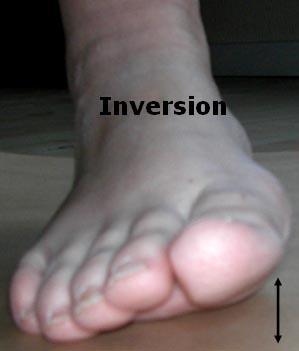 Øke steglengden slik at tåa dorsalflekteres maksimalt i toe off (avspark). 3. Stå på tærne for å aktivere subtalarleddet. 4. Når du sitter dorsalflekter stortåa maksimalt 5.