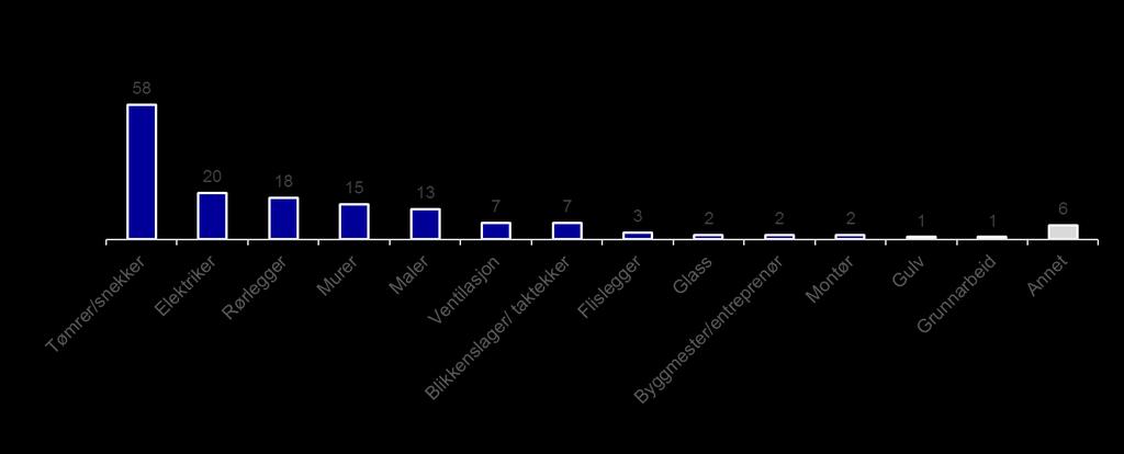 Demografi 20 : Hvilket fagområde/håndverk jobber du med? 21 : Hva er din alder?