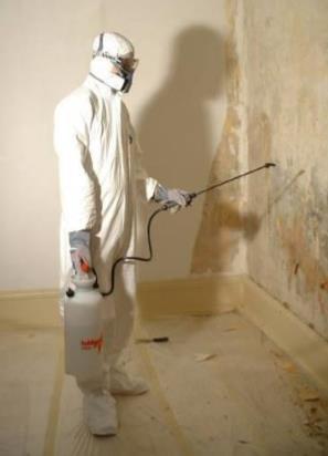 2. Predesinfeksjon Påfør Sanosil S010 med en sprayer eller svamp på alle rammede områder. Påfør slik at produktet setter seg på veggen, uten å renne.