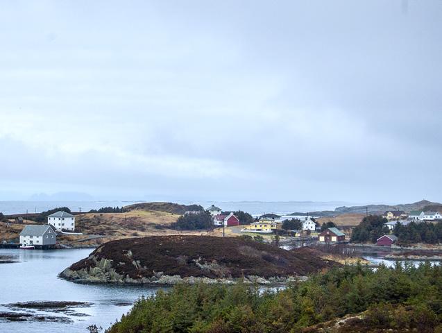 27 STRANDFLATA halsøyhaugen er ein perfekt stad å studere landskapsfenomenet som vert kalla strandflate.