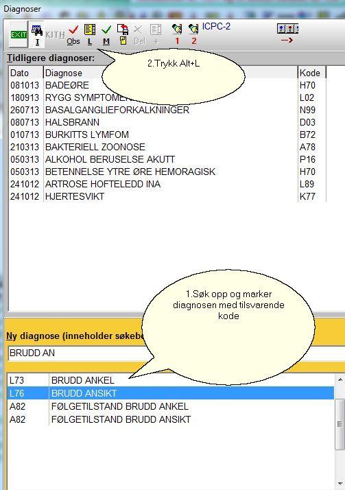 Når vi er i vinduet der vi kan lage egne diagnosetekst, trykk Alt+N