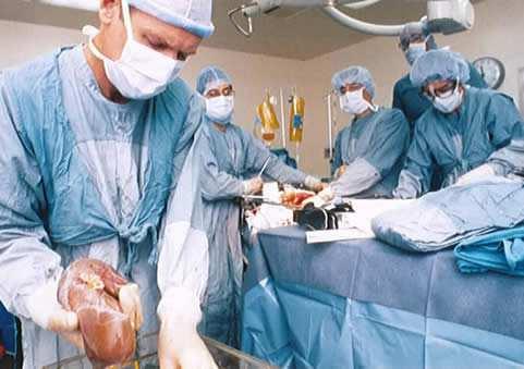 Levertransplantasjon Indikasjoner for levertransplantasjon Paracetamol (modifiserte