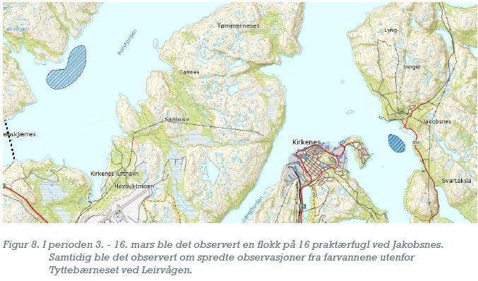 fjordsystemet i for tillatelse til tiltak som f.eks. oljeomlasting, mellomlagring av olje, m.m. Undersøkelsene omfattet: 4 års undersøkelse av anadrome laksefiskers, inkl.