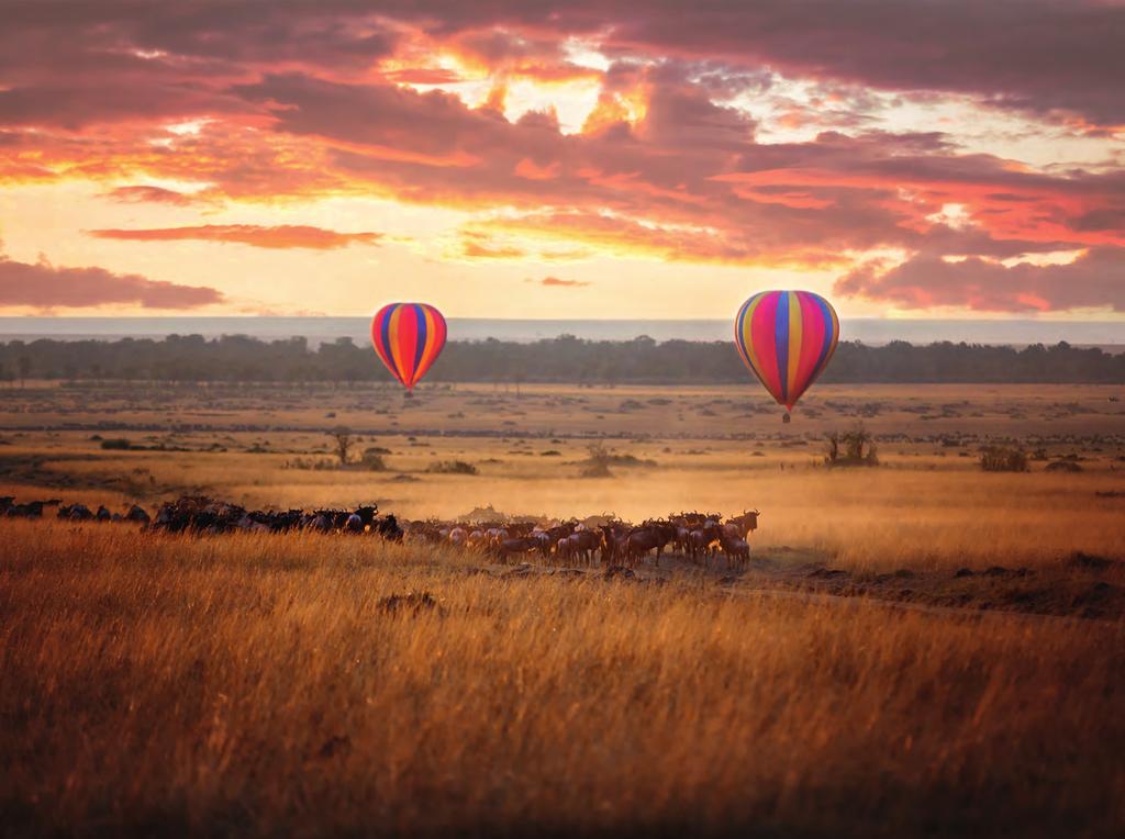 Masai Mara ble også kåret til Afrikas ledende nasjonalpark i World Travel Awards 2017, og er verdenskjent for den årlige migrasjonen der over én million gnu, sebraer og gaseller forflytter seg over