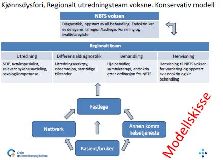 Ref over er det ikke enighet om desentralisering av oppstart hormonbehandling og kirurgisk behandling, men modellen vil likevel være et steg i retning av et mer helhetlig og kompetent regionalt