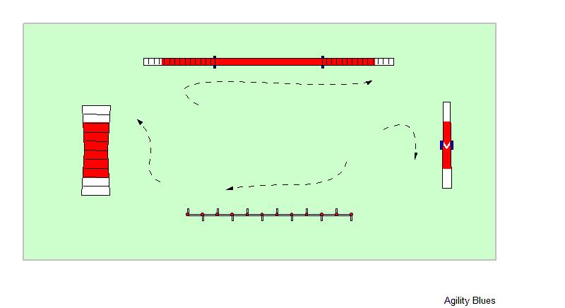 Avstanden mellom hvert hinder på banen bør være minst en meter (tunell under stige eller møne er eneste unntak).