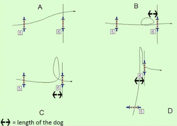 3. Øverst til høyre: hunden beveger seg vekk fra slalåmpinnene med mer enn sin egen lengde = Feil 14 Bedømmingssituasjoner 14.