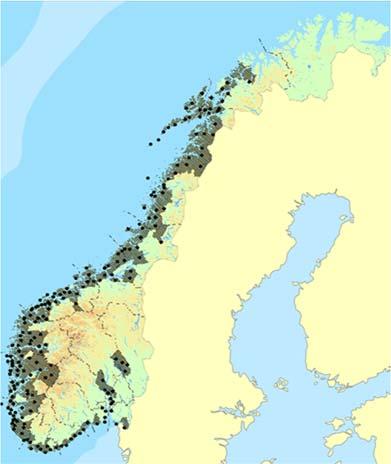 Figur 2. Kommuner i Norge hvor sitkagran og lutzgran er plantet (prikker og skravur). Samlet utgjør arealet med sitkagran og lutzgran i Norge ca. 550 km2. Kart: Skog og landskap.