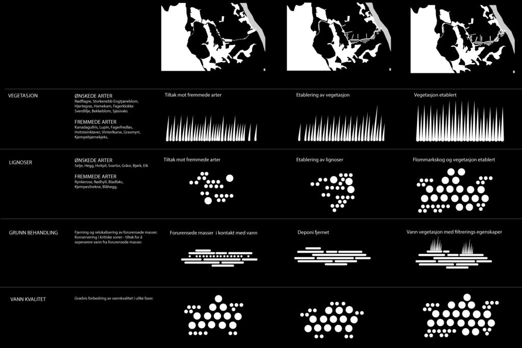 Diagrammet nedenfor viser den suksessive forandringen som bekkeåpningsprosjektet medfører i vegetasjon og lignoser, fra fremmede arter til