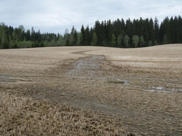 Direktesåing Fordeler Erosjon Spireråme Erosjon i sesongen Lite arbeid RMP med høstkorn Binder CO 2