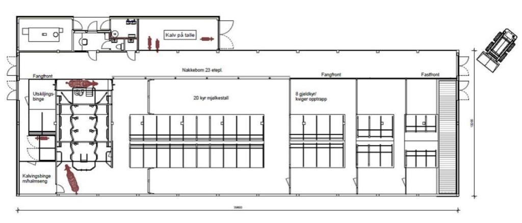 Fjøs 24 kyr + kvigeoppdrett frå lågkost til