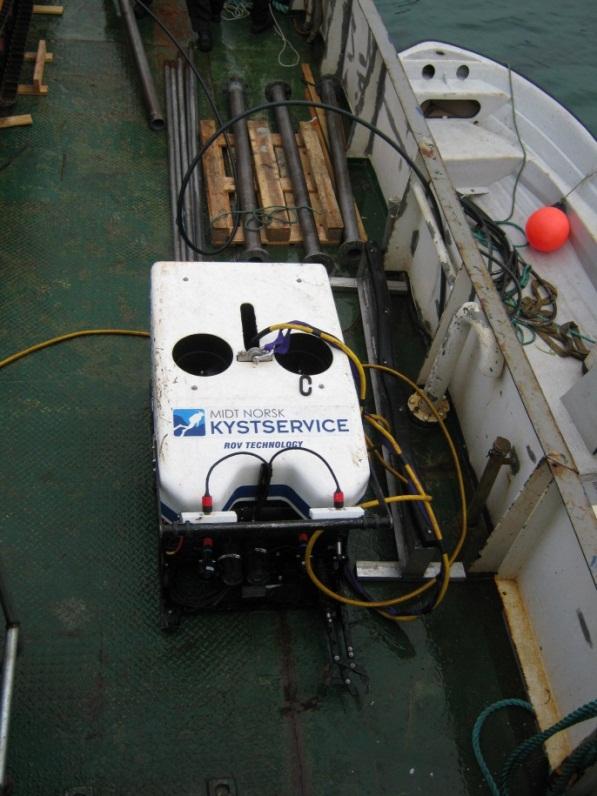 MS Amron har personell med dykkerkompetanse og er utstyrt med ROV for inspeksjon og overvåkning av