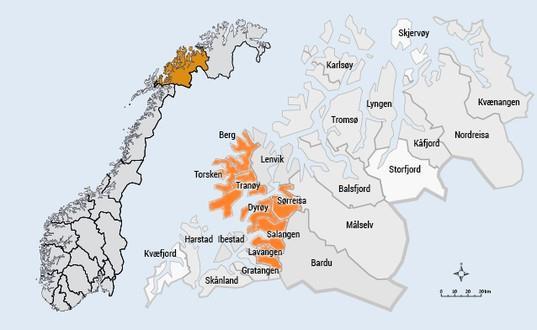 Gruppens medlemmer Leder Gunn Knörr Giertsen, Krisesenteret i Midt-Troms Kommunerepresentanter Berg June Esaiassen, helsesøster (fra oppstart i arbeidsgruppen og frem til 08.11.