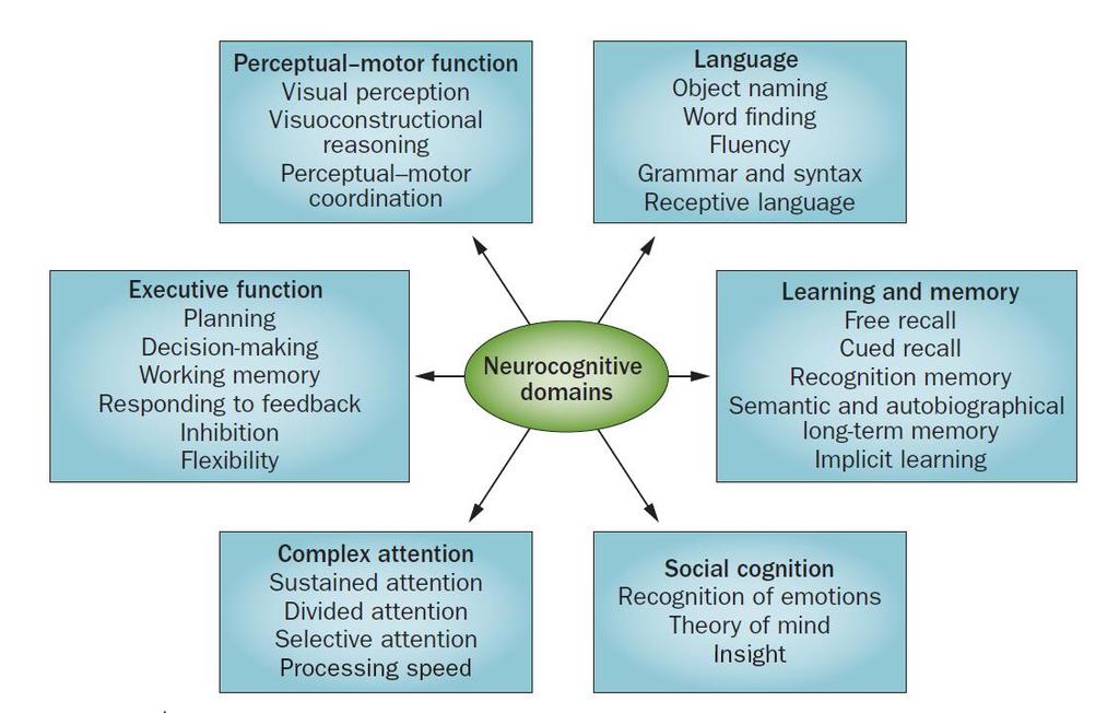 DSM-5: Neurocognitive domains